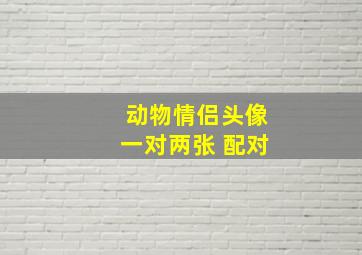 动物情侣头像一对两张 配对